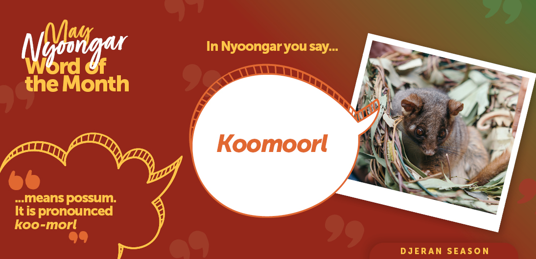 Nyoongar Word of the Month - May