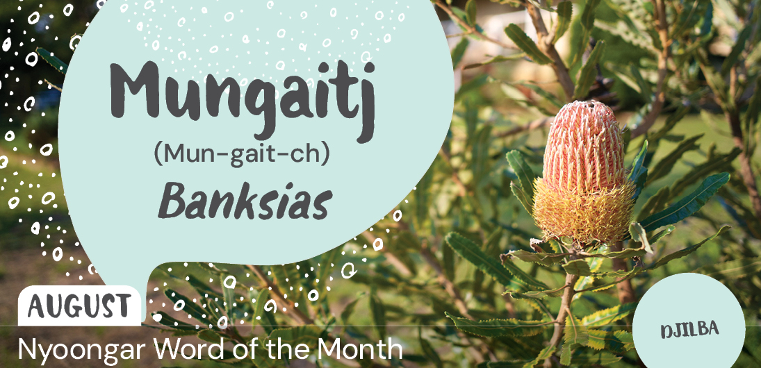 Nyoongar Word of the Month - August 