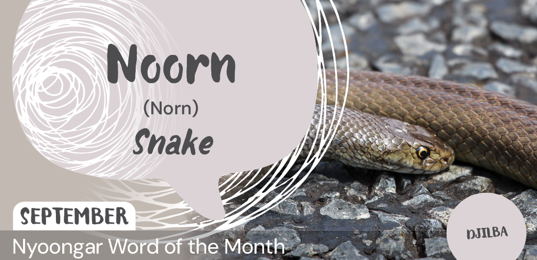 Nyoongar Word of the Month - September 