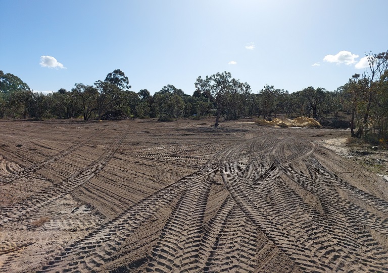Illegal clearing culprits caught out by City staff