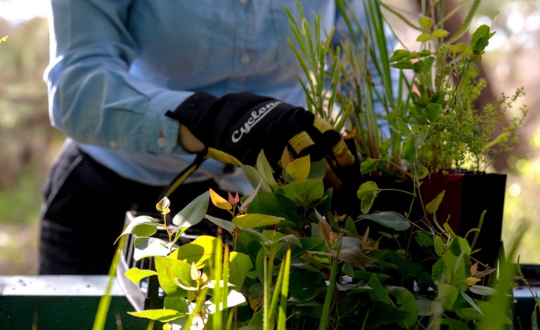 Environment Strategy sets key directions by 2035