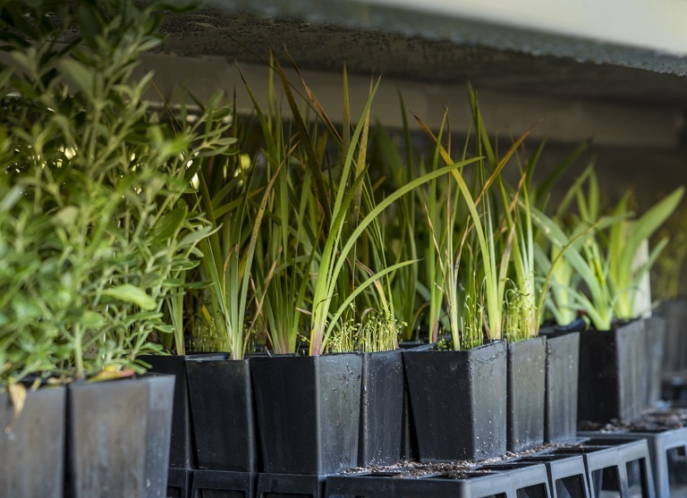 Living Green Series inspires sustainable living