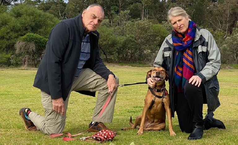 Calls for dog owners to bin and bag dog poo