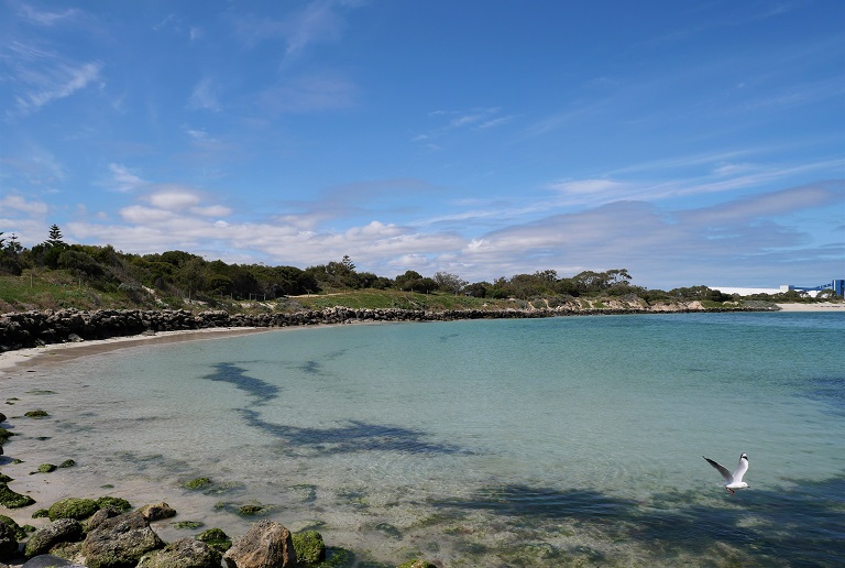 Council calls for State Government to ban shark fishing