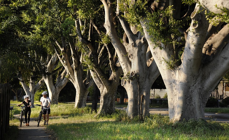 Photo competition captures Kwinana as the City of Trees