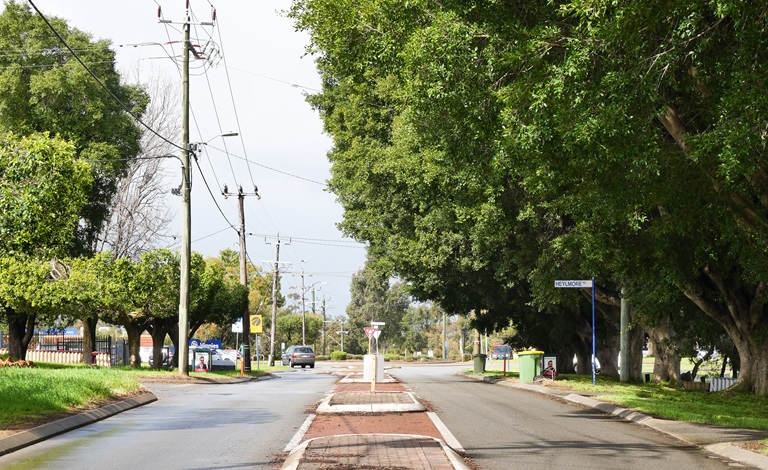 Council supports underground power