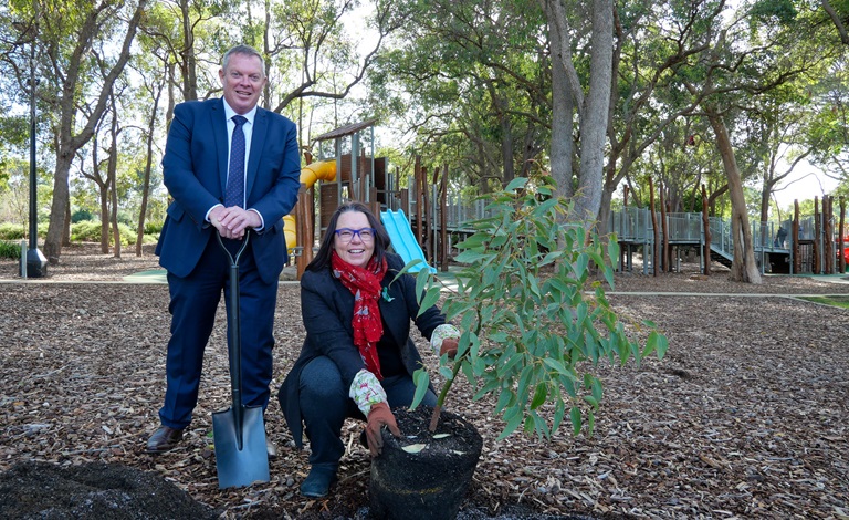 Urban Forest Strategy thrives with Federal funding