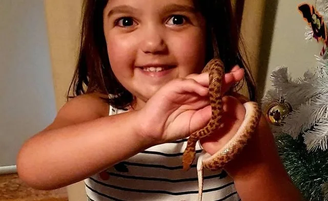 Snake Safety for Preschoolers