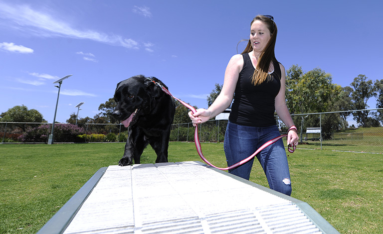 Dog Exercise Areas teaser image