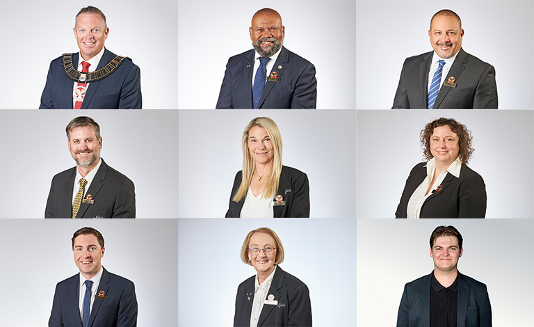 Elected Members teaser image