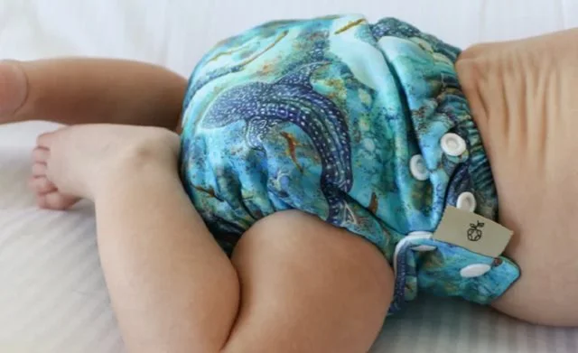 Kwinana Digital Cloth Nappy Workshop
