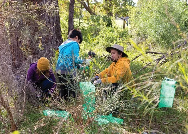 Living Green - Community Planting Day – Lizards Reserve