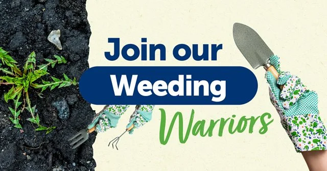 Living Green - Weeding Warriors 