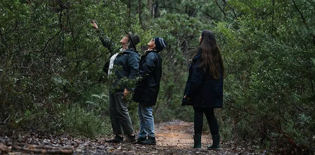 Mindful in Nature - Guided nature connection session 