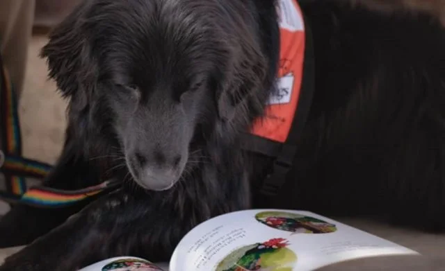 Books with Buddy