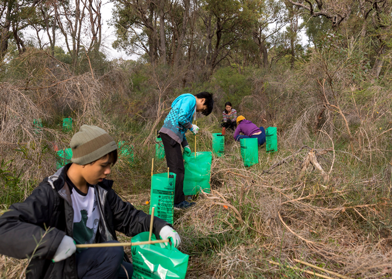 Environmental Conservation and Management teaser image