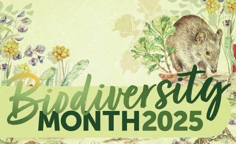 Biodiversity Month teaser image