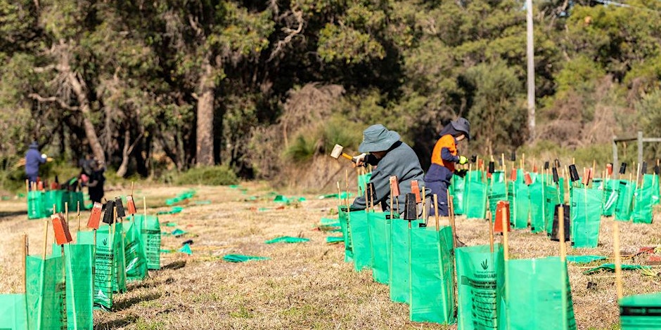 Living Green and Keep Carnaby's Flying - Community Planting Day 