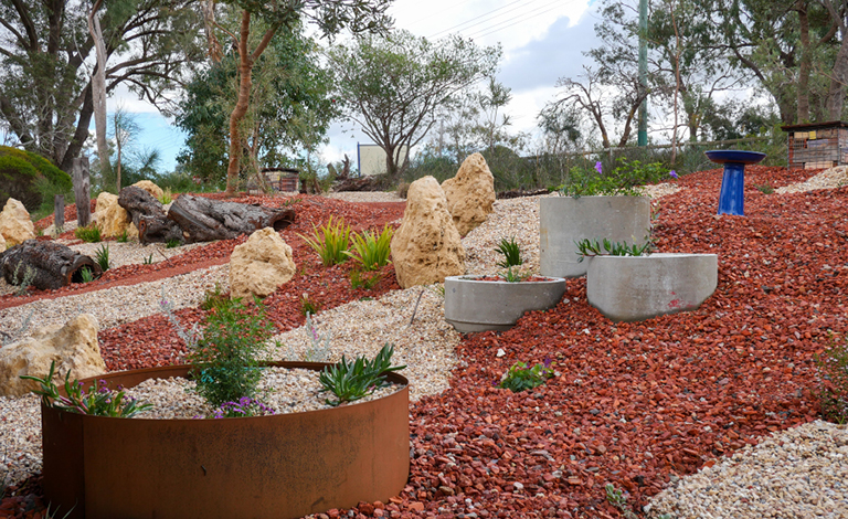Celebrate biodiversity with walks and firewise plants