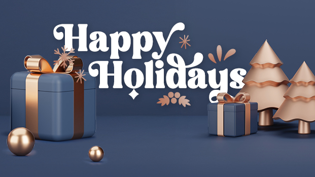 Services over the Christmas and New Year Period 2025/26