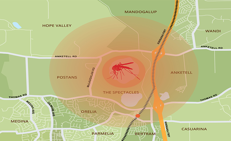 Ross River Virus Risk in City of Kwinana