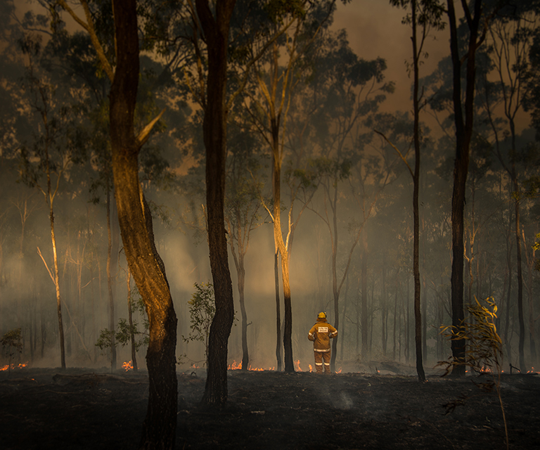 A firefighter in protective gear surveys a bushfire. 