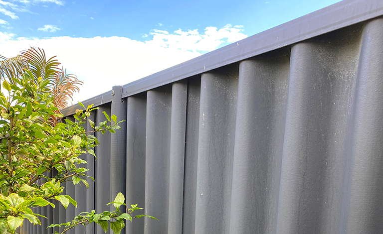 Defining Boundaries: Dividing Fence Rules teaser image