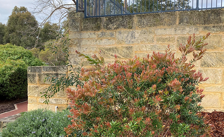 Fences and Retaining Walls Building Permits teaser image