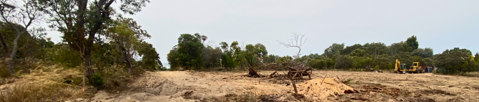 Clearing and Modification of Land, Trees and Native Vegetation