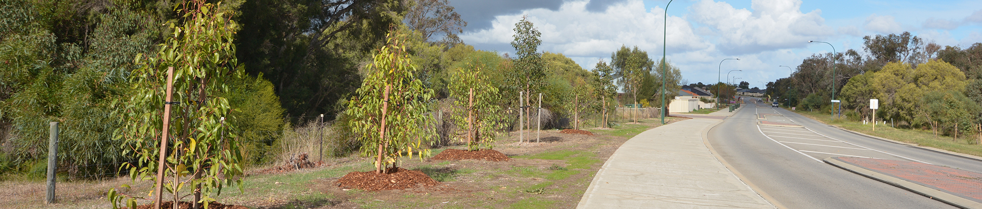 Verge, Trees and Gardens