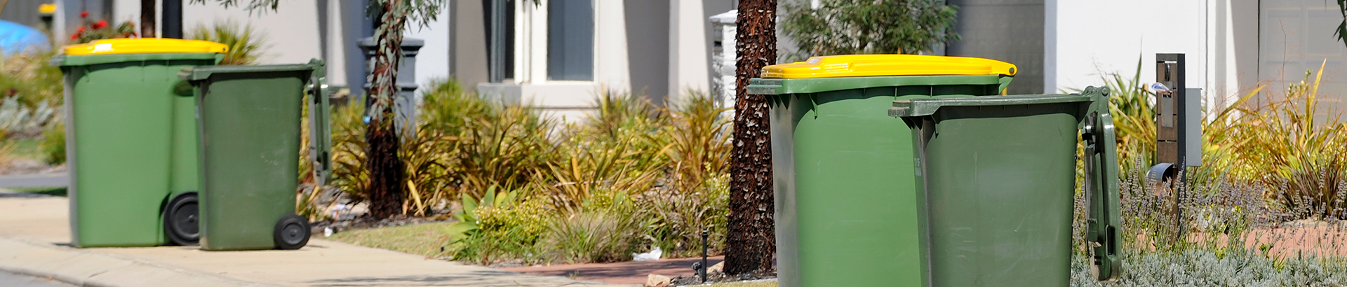 A residential street with green and yellow bins lined up after collection. 