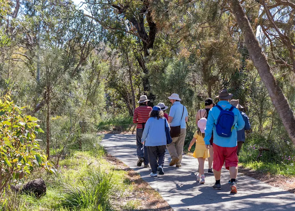 Wildflowers and Pollinators- Guided Walk Event