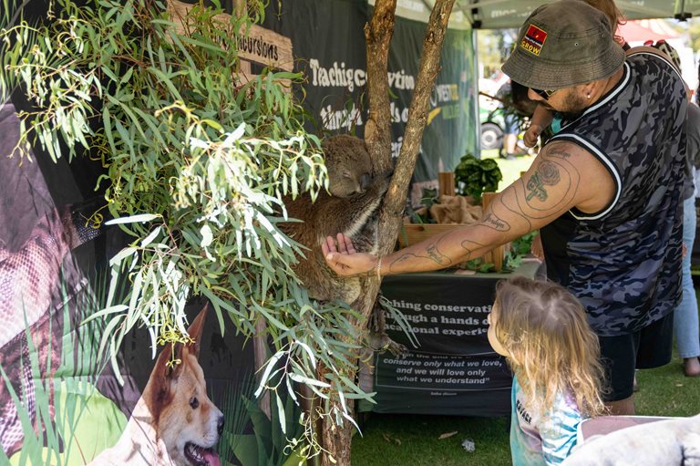 A man and child looking patting a koala