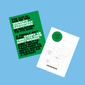 The Hidden Nature Things workbook